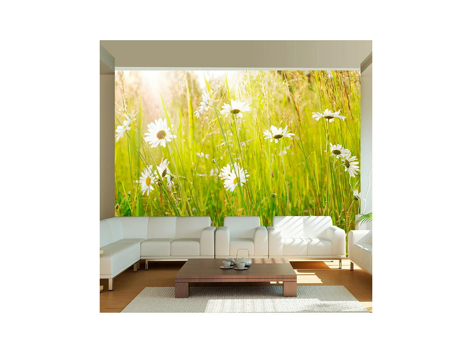 Papier Peint "Champ de Marguerites" 231 x 300 cm