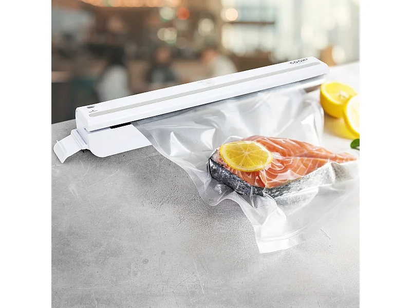Machine Mise Sous Vide Alimentaire Blanc