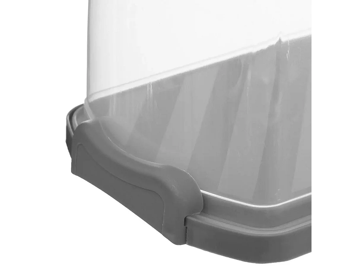 Boîte de Conservation Gâteaux "Cake" 36cm Gris