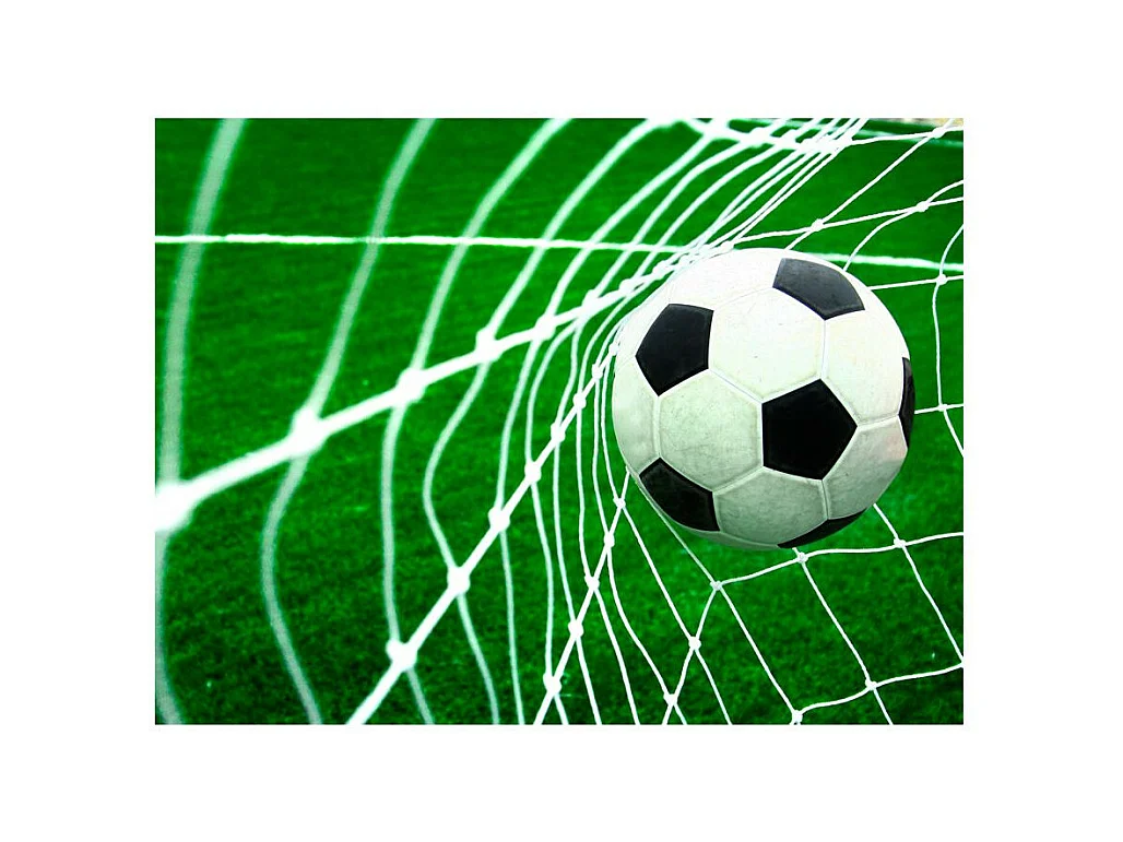 Papier Peint "Goal !" 231 x 300 cm