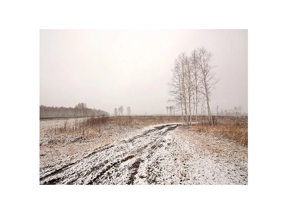 Papier Peint "Winter Field" 231 x 300 cm