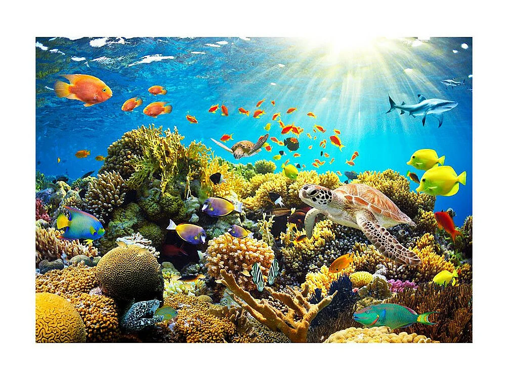 Papier Peint "Underwater Land" 210 x 300 cm