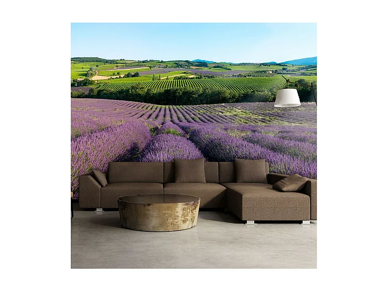Papier Peint "Champs de Lavande" 193 x 250 cm
