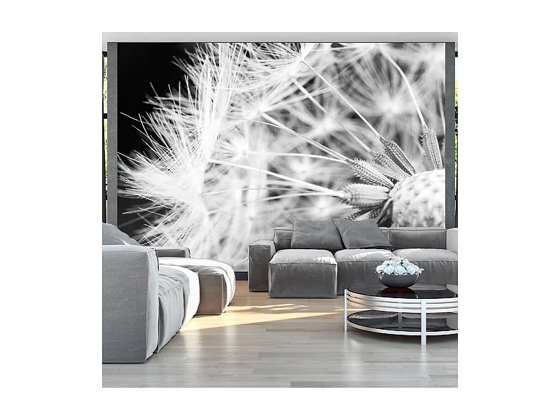 Papier Peint "Pissenlit en Noir & Blanc" 70 x 100 cm