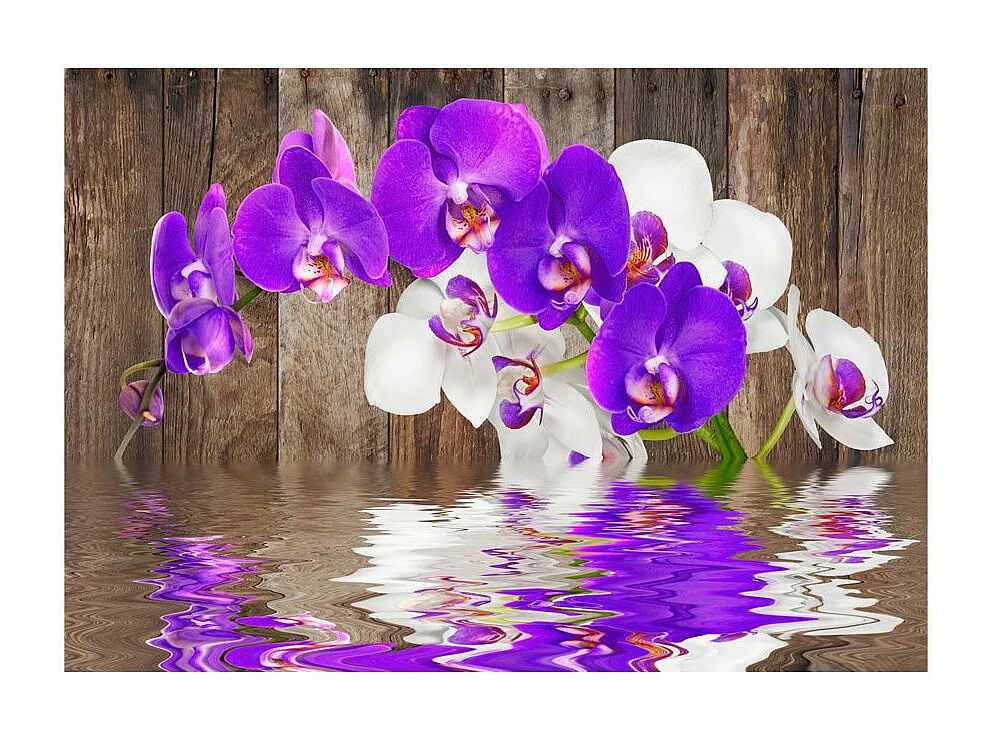 Papier Peint "Connection" 140 x 200 cm