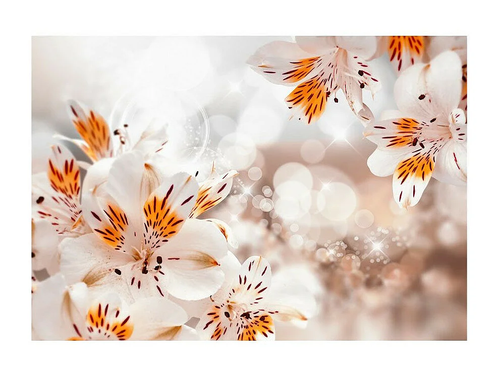 Papier Peint "Lily of the Incas" 175 x 250 cm