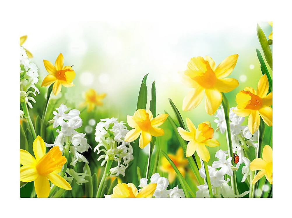 Papier Peint "Spring Walk" 105 x 150 cm