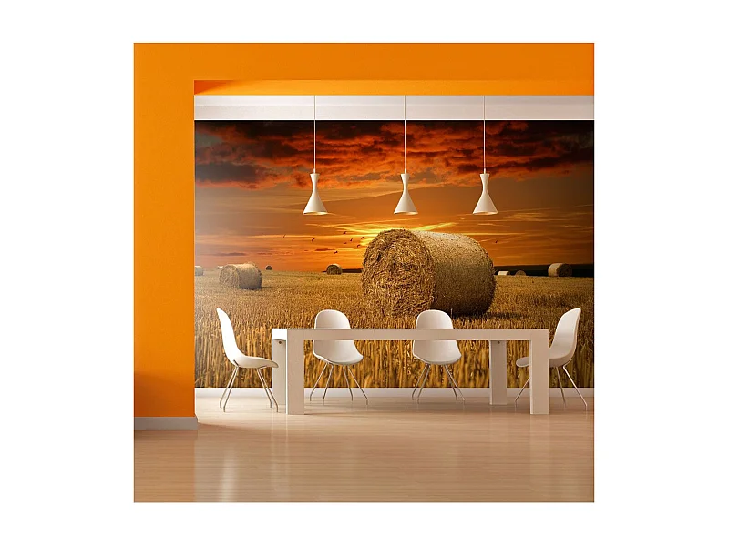 Papier Peint "Champs Dorés" 270 x 350 cm