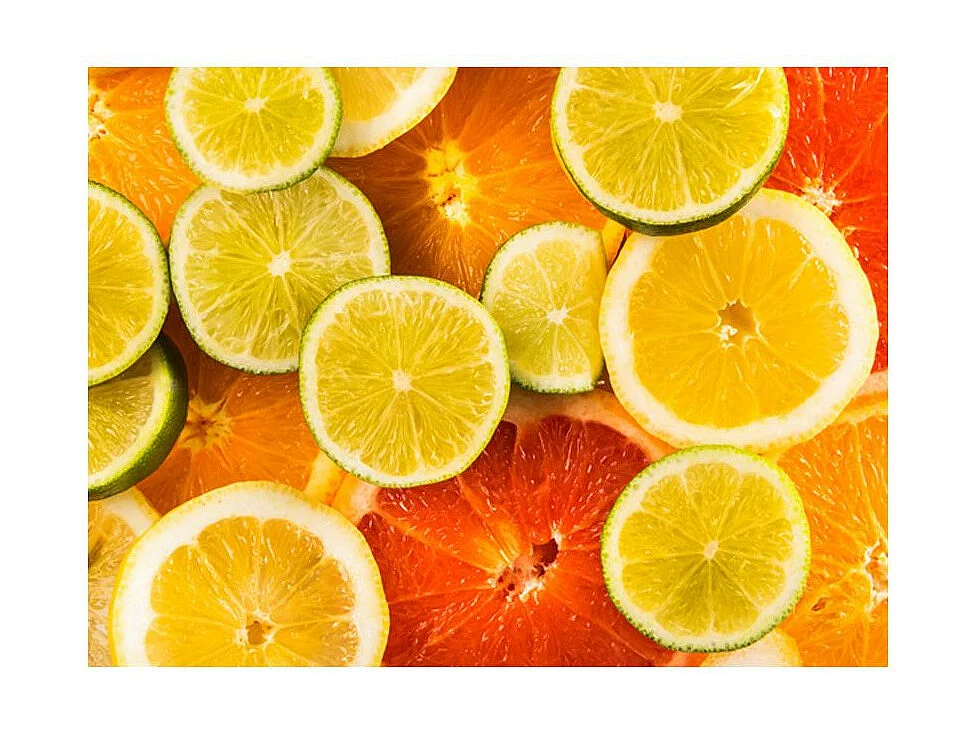 Papier Peint "Citrus Fruits" 193 x 250 cm