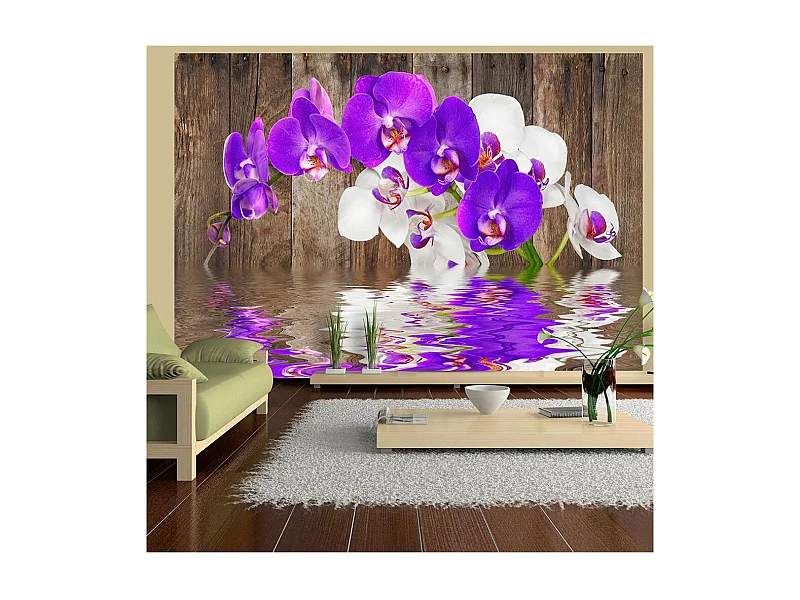 Papier Peint "Connection" 245 x 350 cm