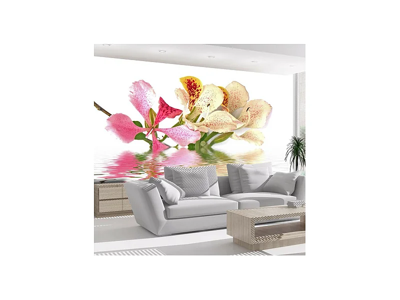 Papier Peint "Fleurs Tropicales Arbre Aux Orchidées Bauhinia" 270 x 350 cm