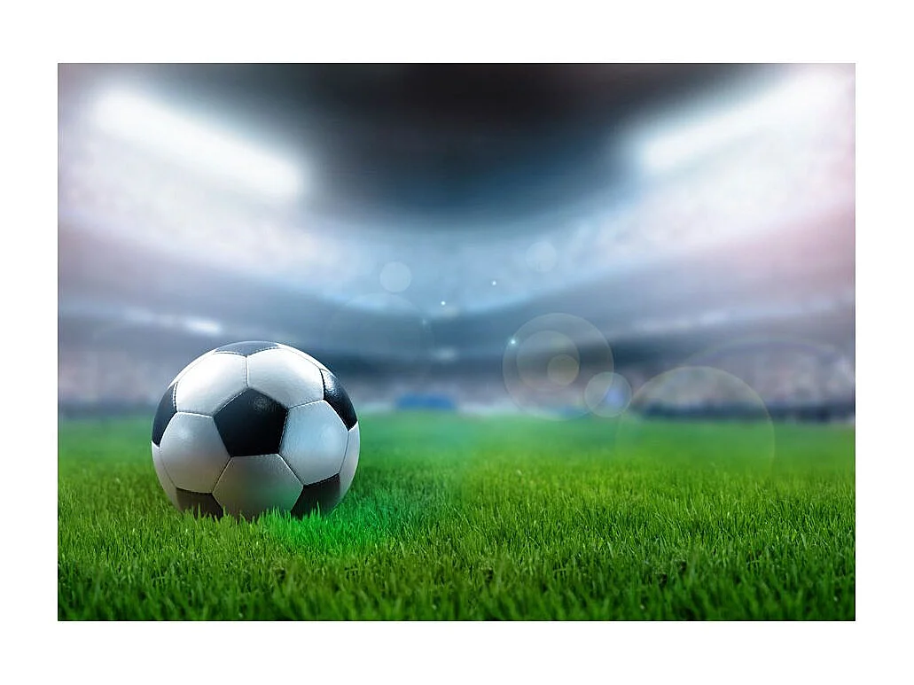 Papier Peint "World Championship" 210 x 300 cm