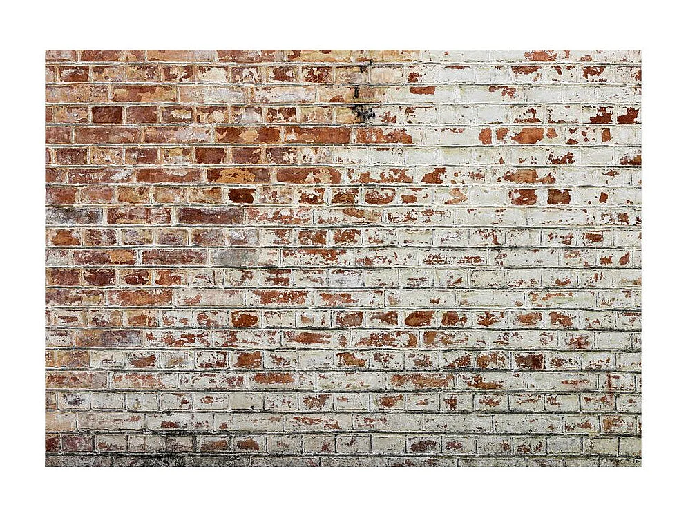 Papier Peint "Walls of Memory" 245 x 350 cm