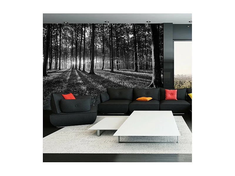 Papier Peint "The Light in the Forest" 105 x 150 cm