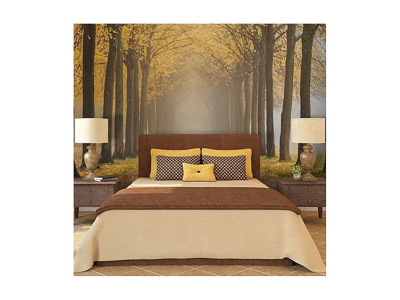 Papier Peint "Journey To the Unknown" 231 x 300 cm