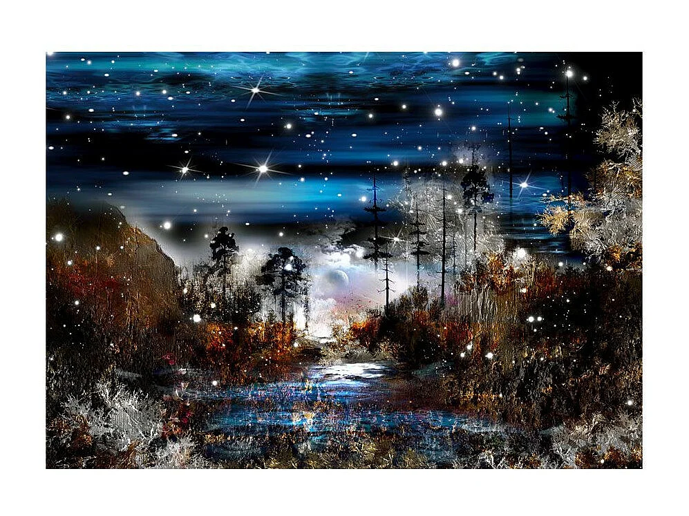 Papier Peint "Nuit dans la Foret" 105 x 150 cm