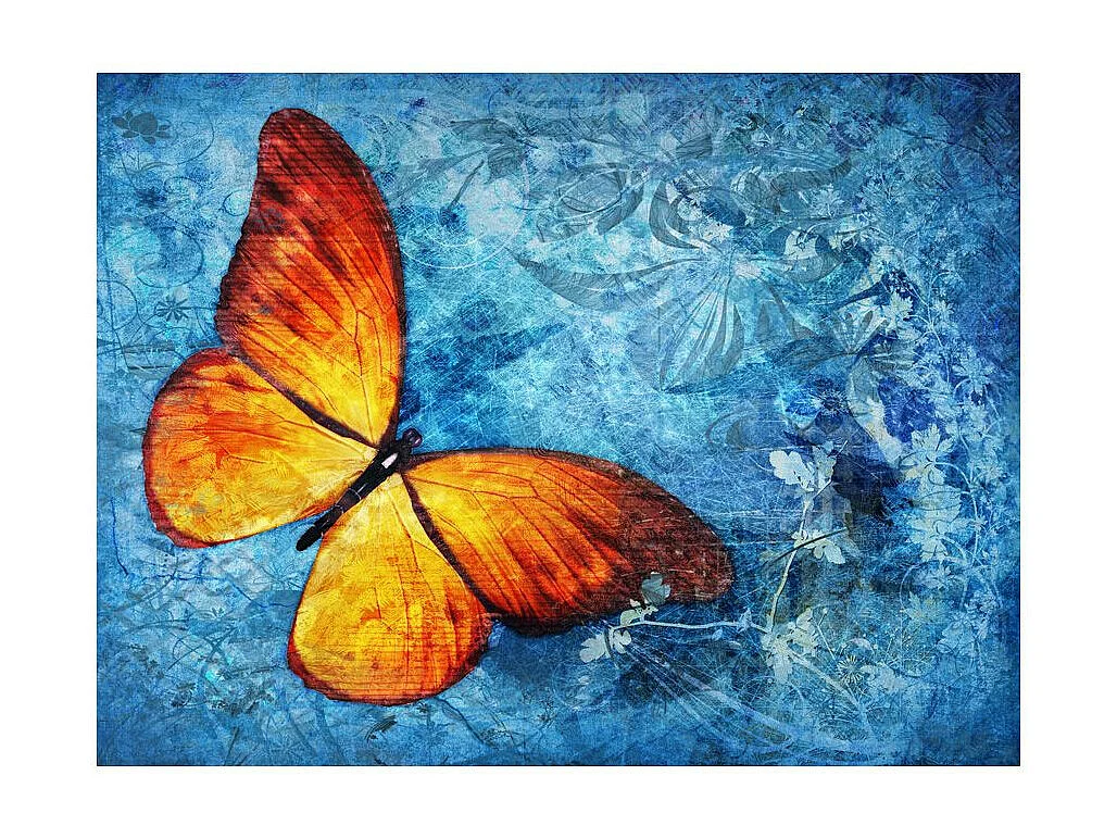 Papier Peint "Fiery Butterfly" 270 x 350 cm