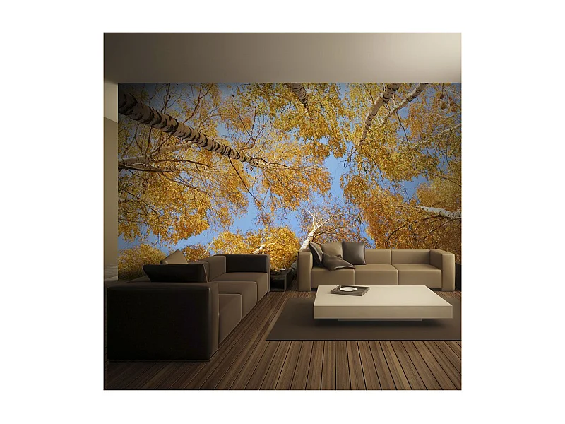 Papier Peint "Arbres D'automne" 270 x 350 cm