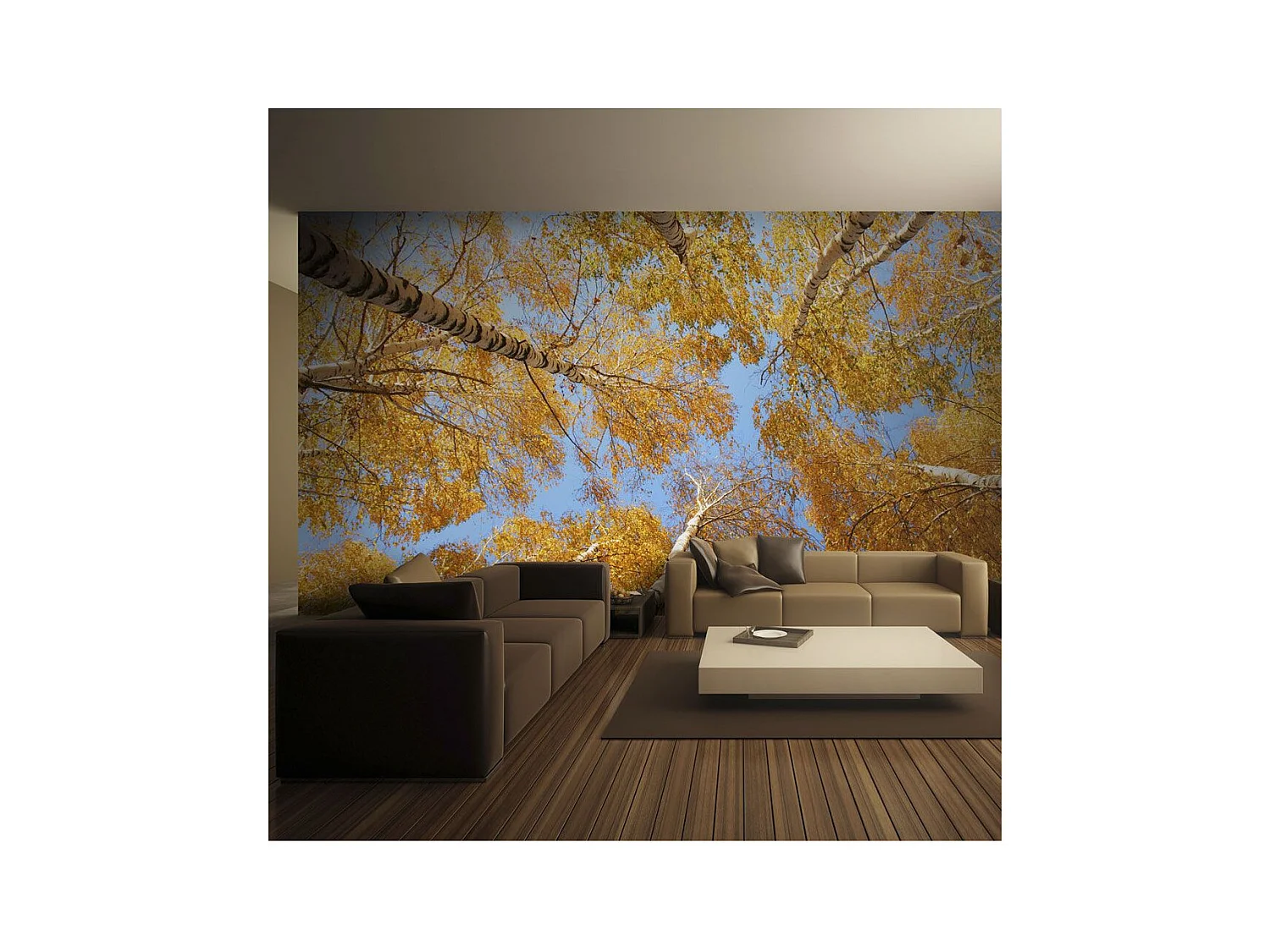 Papier Peint "Arbres D'automne" 270 x 350 cm