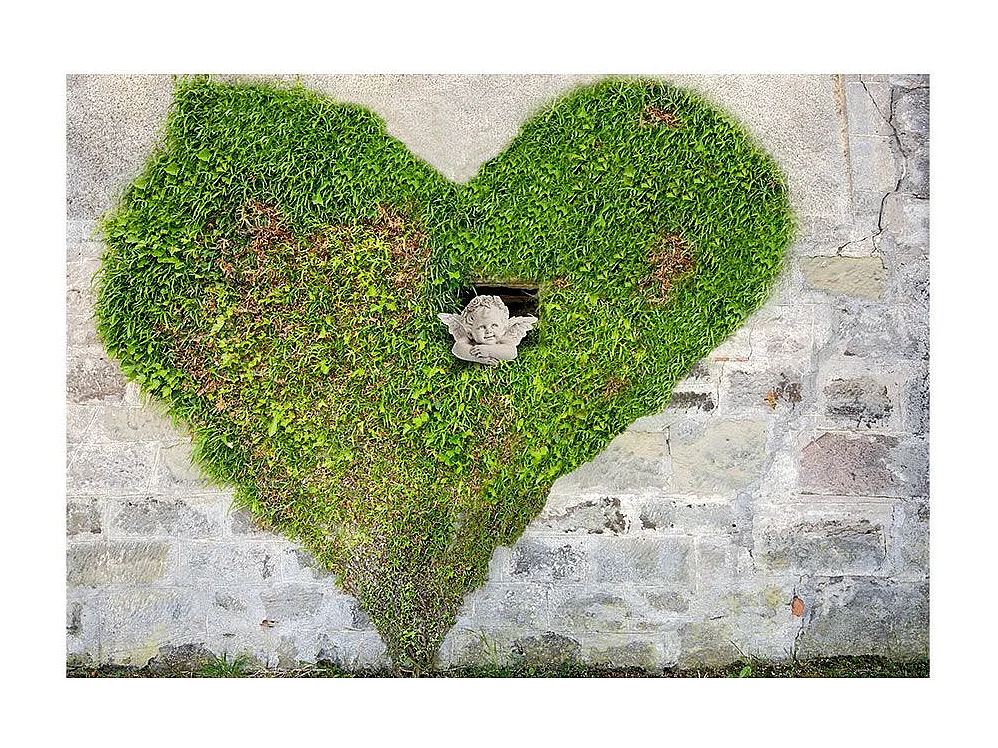 Papier Peint "Angel Stole My Heart" 175 x 250 cm