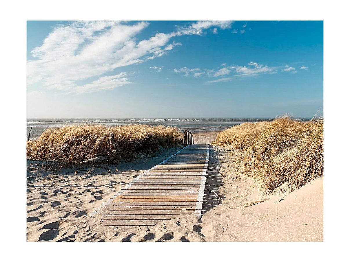 Papier Peint "Plage Mer du Nord Langeoog" 270 x 350 cm