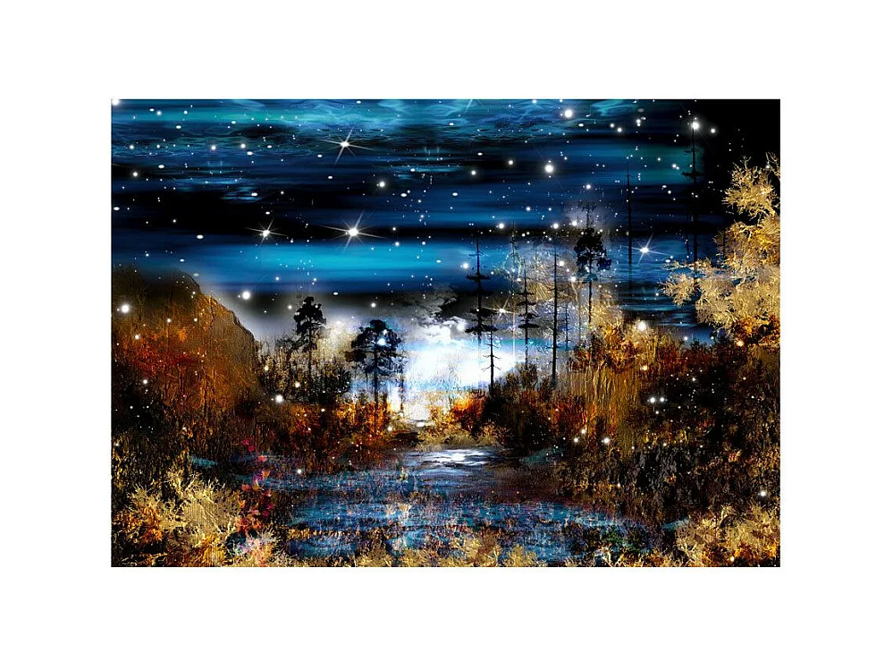 Papier Peint "Magical Forest" 210 x 300 cm