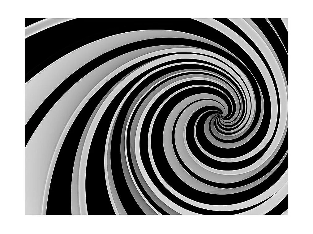 Papier Peint II "Black & White Swirl" 231 x 300 cm