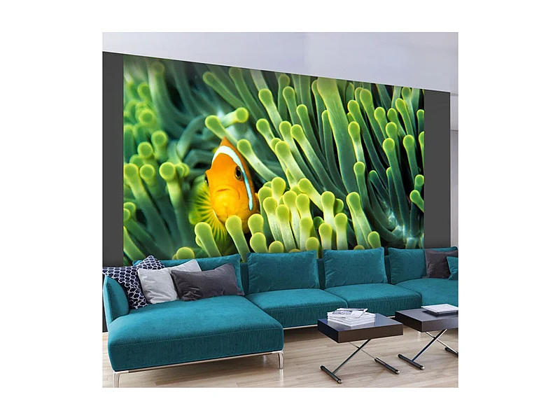 Papier Peint "Anemonefish" 270 x 350 cm