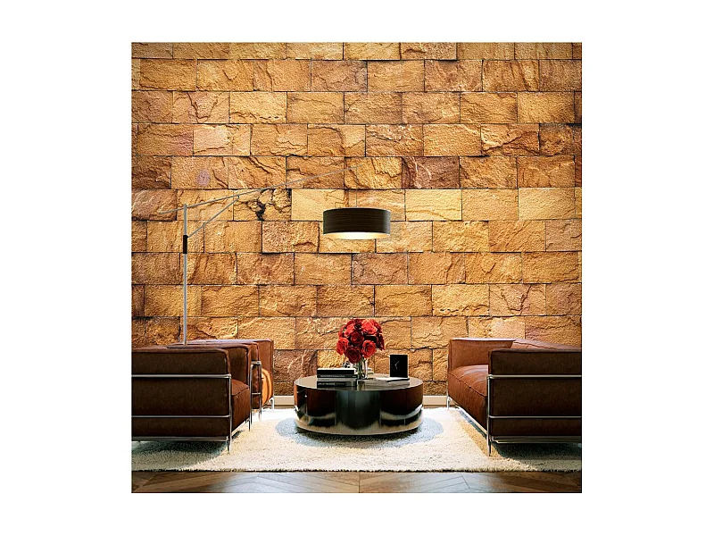 Papier Peint "Timeless Charm" 245 x 350 cm