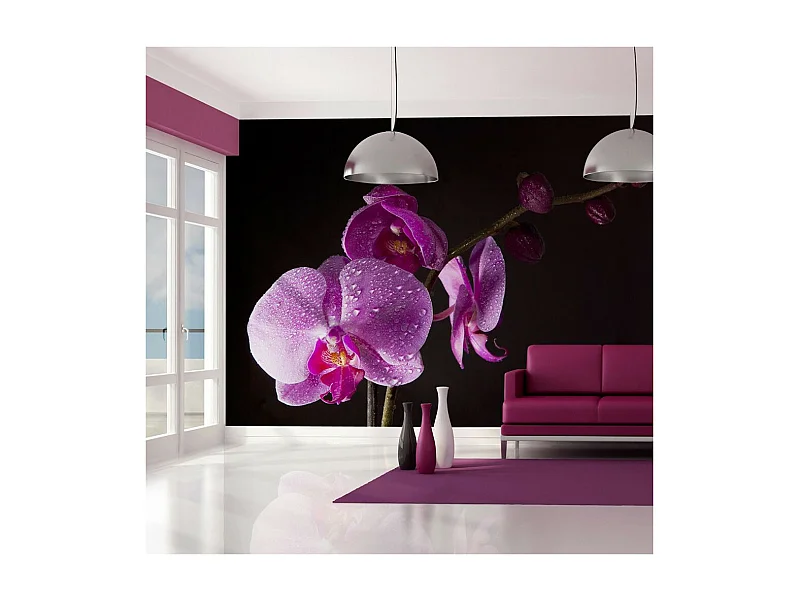 Papier Peint "De Bon Goût Orchidée" 270 x 350 cm