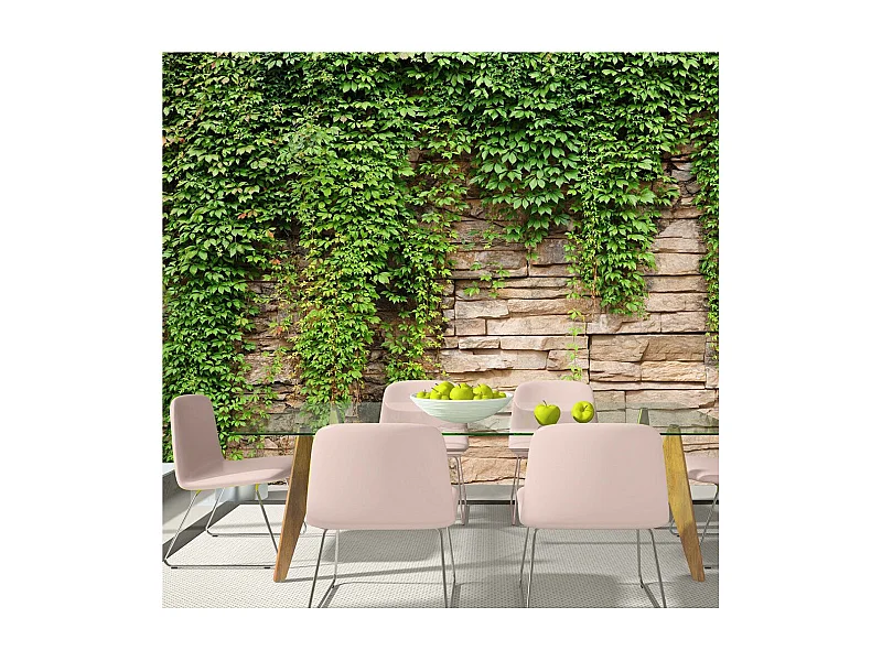 Papier Peint "Mur de Lierre" 70 x 100 cm