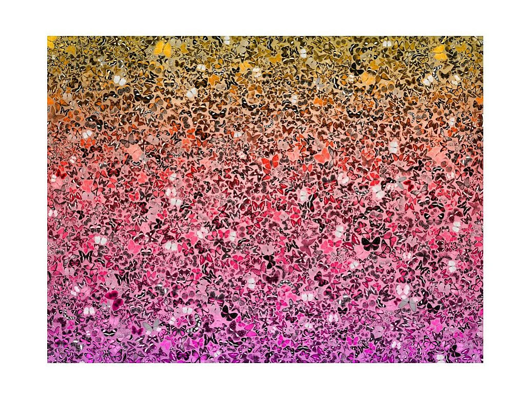 Papier Peint "The Language of Butterflies" 231 x 300 cm