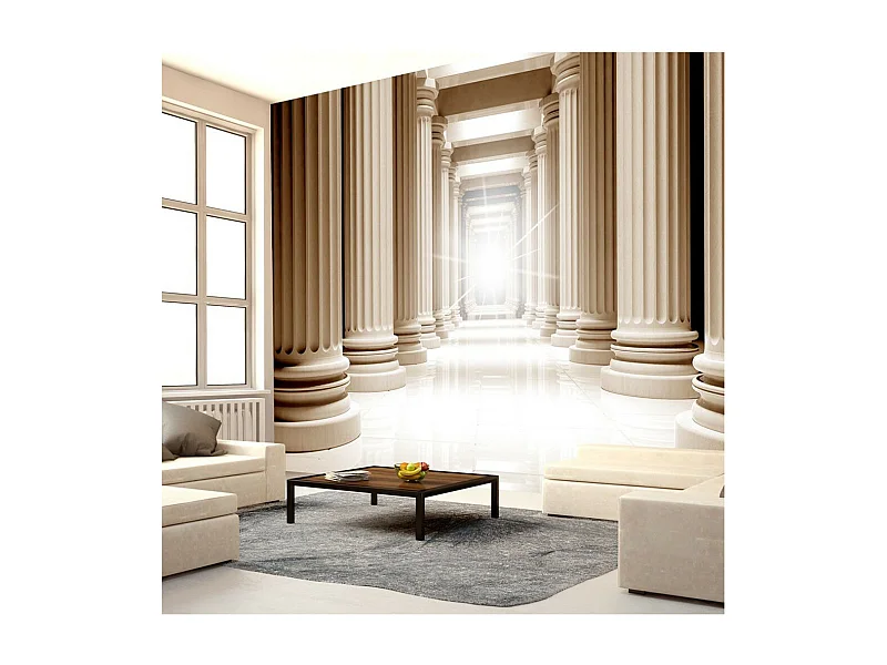 Papier Peint "In the Ancient Pantheon" 105 x 150 cm