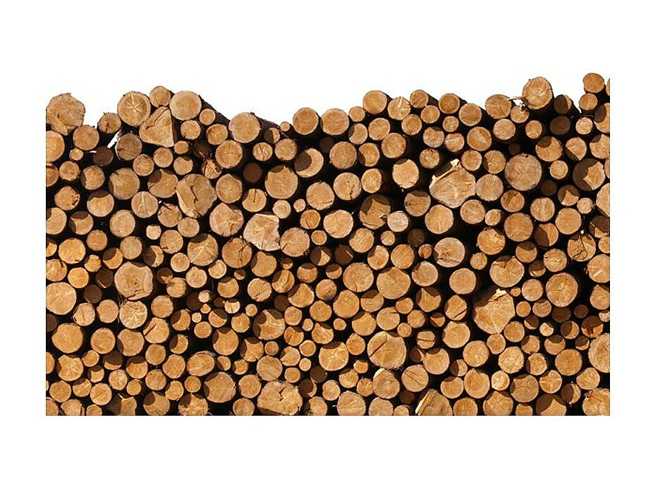 Papier Peint "Tas de Bois" 270 x 350 cm