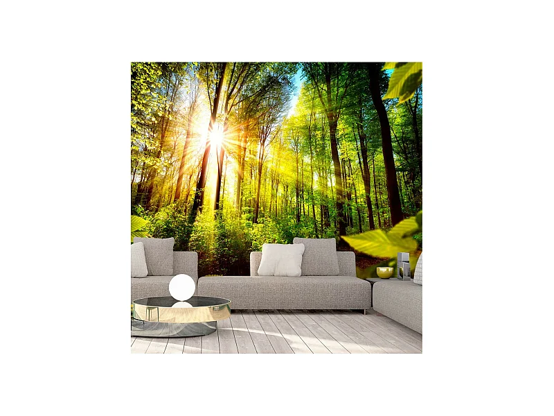 Papier Peint "Forest Hideout" 245 x 350 cm