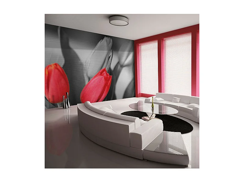 Papier Peint "Tulipes Rouges sur Fond Noir & Blanc" 270 x 350 cm