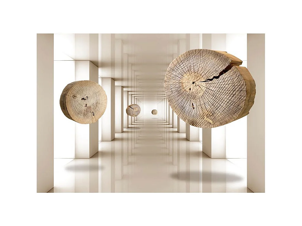 Papier Peint "Cercles de Bois Volants" 70 x 100 cm