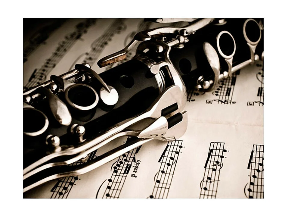 Papier Peint "Clarinette & Notes de Musique" 193 x 250 cm