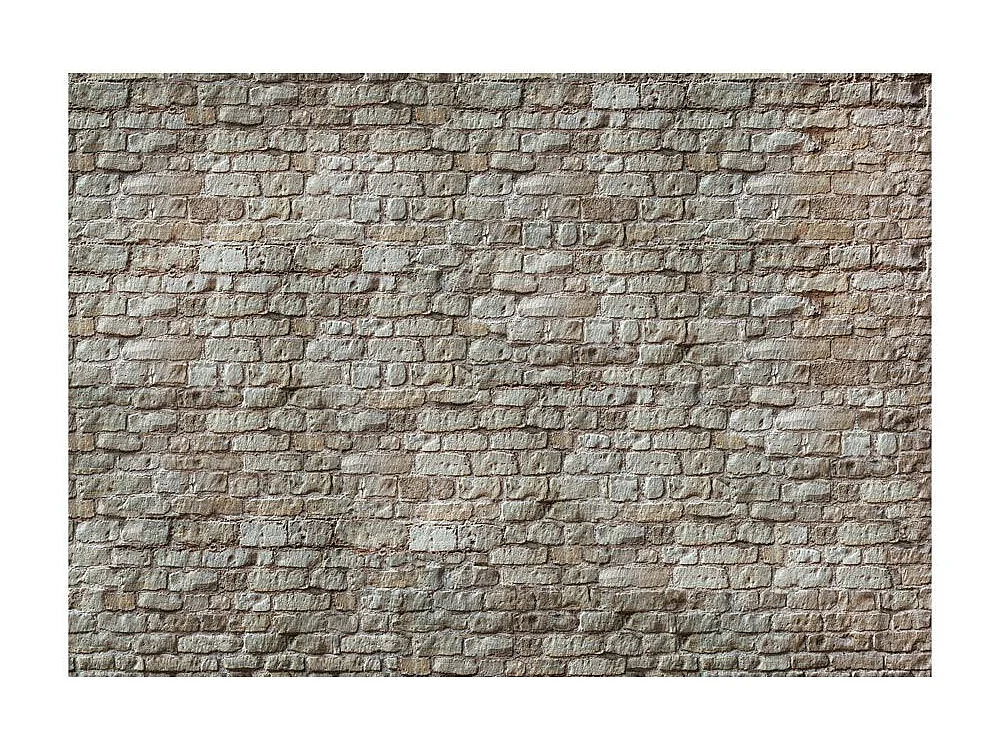 Papier Peint "Réalité" 245 x 350 cm