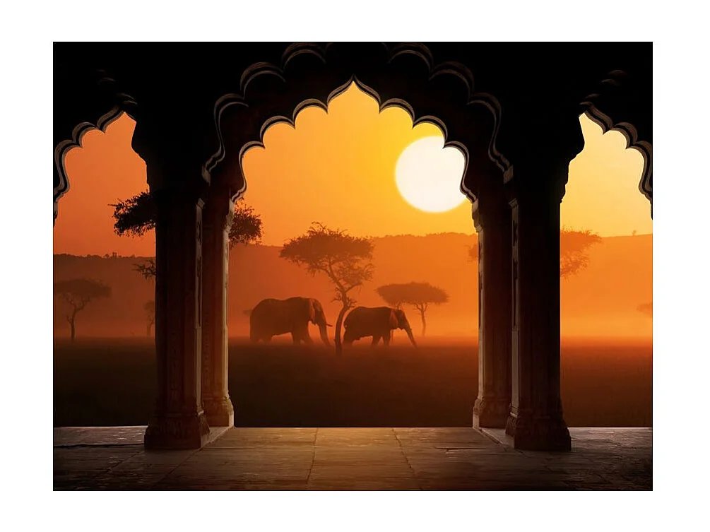 Papier Peint "Hear Africa" 270 x 350 cm