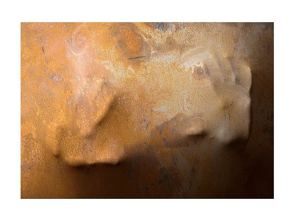 Papier Peint "Touch II" 245 x 350 cm