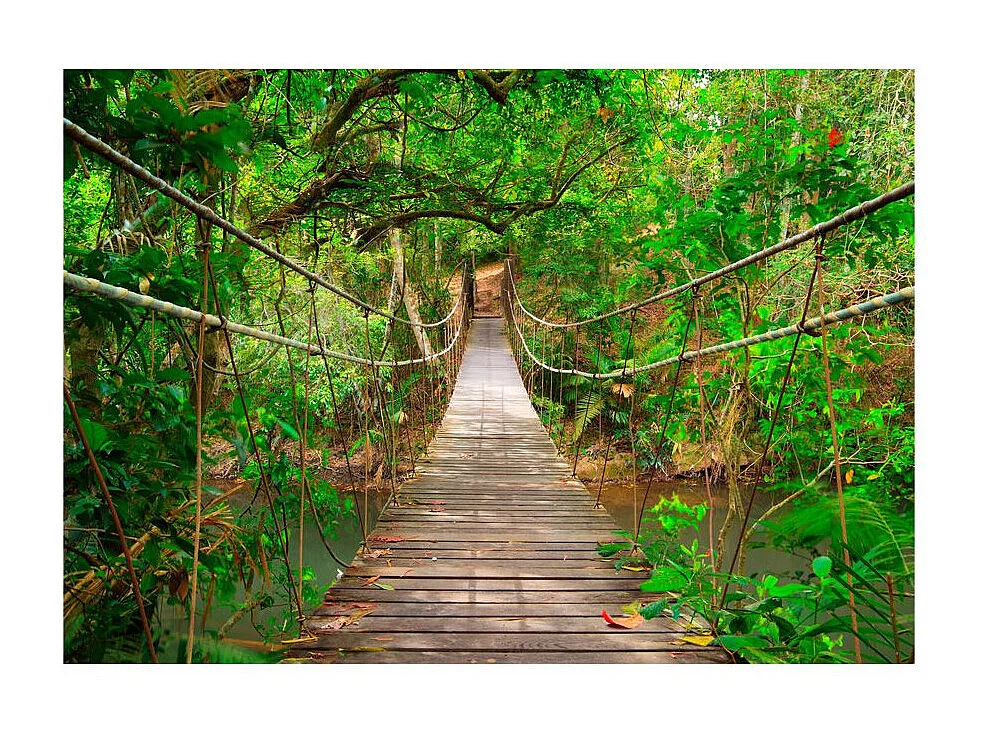 Papier Peint "Bridge Amid Greenery" 175 x 250 cm