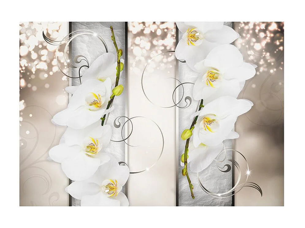 Papier Peint "Sophisticated Duet" 105 x 150 cm