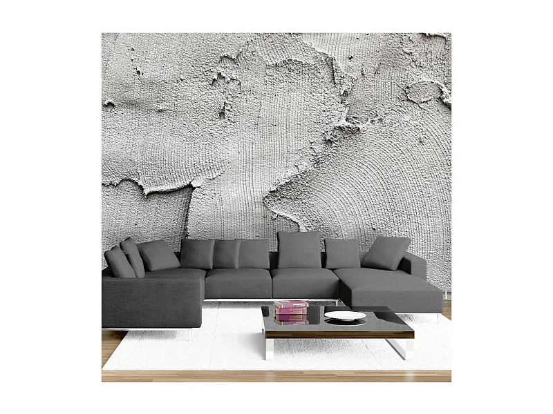 Papier Peint "Concrete Nothingness" 245 x 350 cm
