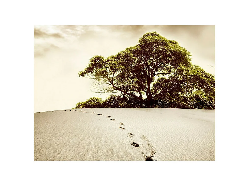 Papier Peint "Arbre dans le Désert" 270 x 350 cm