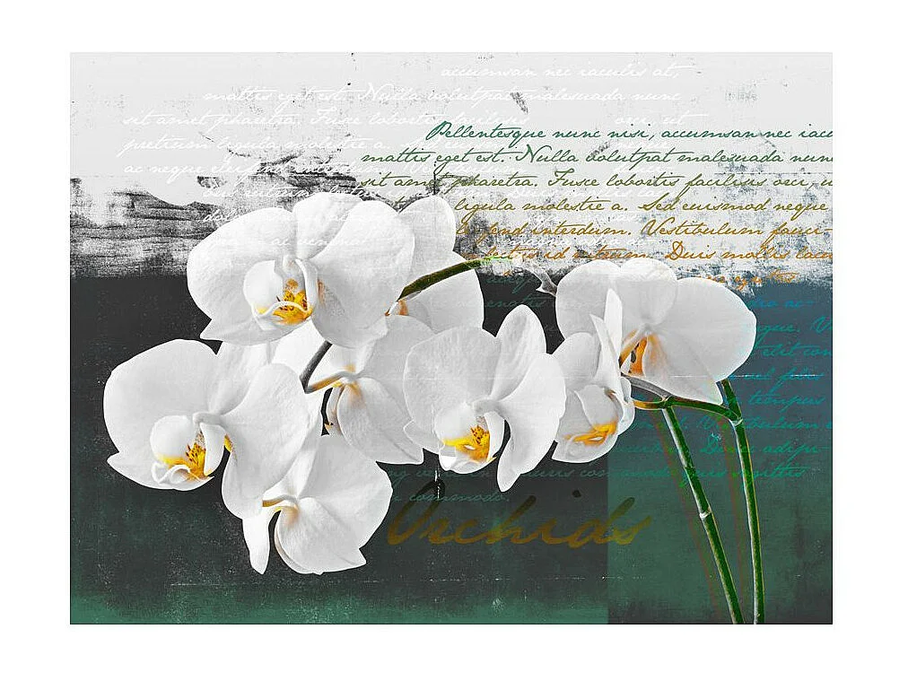 Papier Peint "Orchidées Inspiration du Poète" 154 x 200 cm