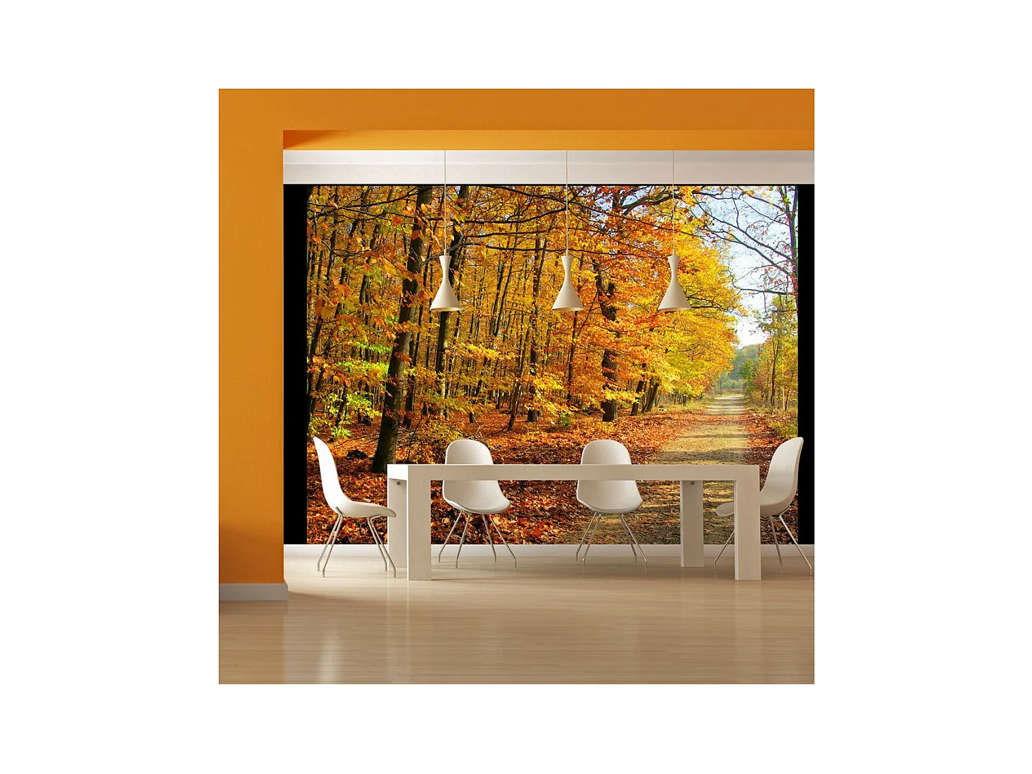 Papier Peint "Beech Forest" 193 x 250 cm