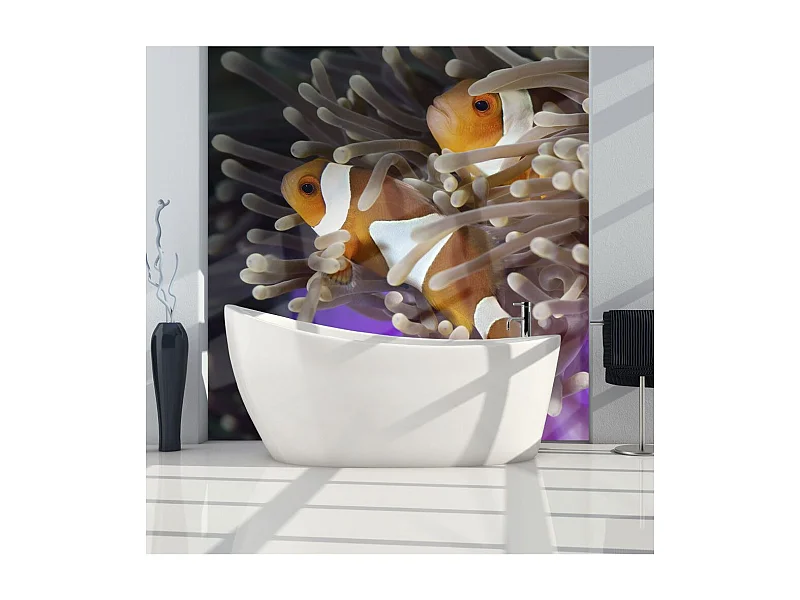 Papier Peint "Poissons Clowns" 231 x 300 cm