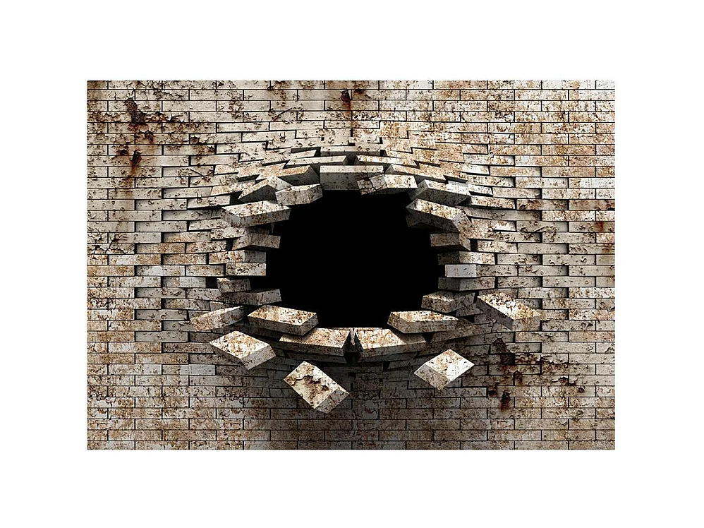 Papier Peint "Entrée" 245 x 350 cm