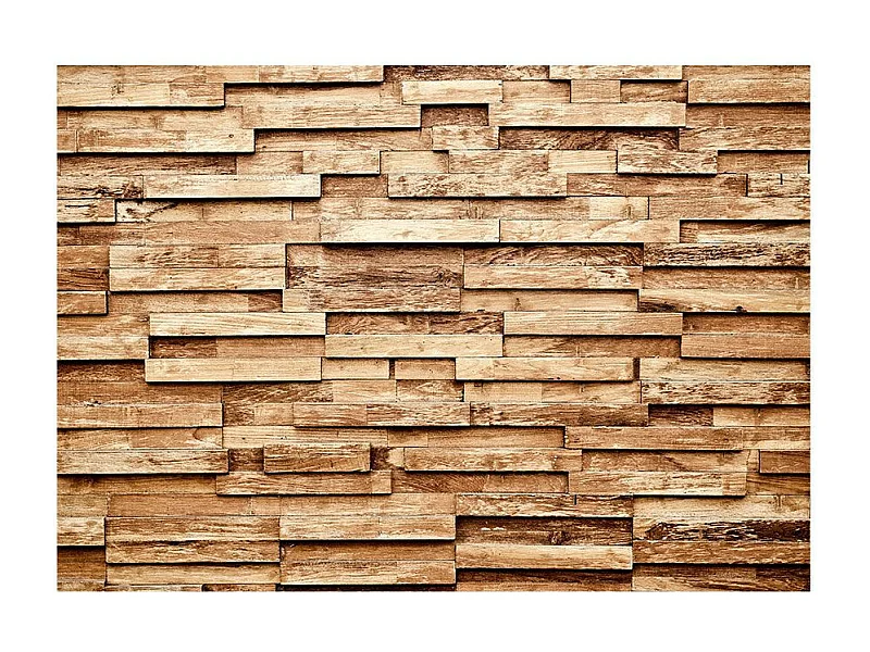 Papier Peint "Palisade" 280 x 400 cm